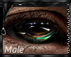 [P&P] Male Elvin -Eyes-