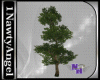 (1NA) Animated Tree