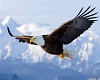 Leo Rojas El Condor Pasa