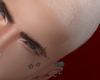 Nevou