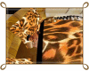 !Luscious Tiger Blanket`