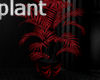*J* PLant red/blk