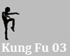 Kung Fu actions 03