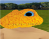 yellow gecko head(TGD)