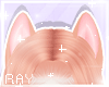 [Fox] Ears [5]