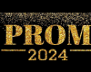 prom 2024 party room