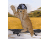 Kitty Skateboard