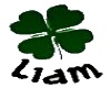 Liam Shamrock Sticker