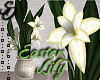 [S0] Easter Lily Plant