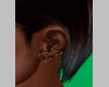 Earring Animade