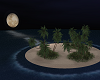 Isla noche playa