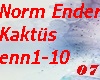 Norm Ender Kaktüs