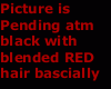 Black blended red hair