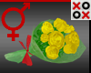 Roses Bouquet Yellow