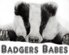 Badgers Babes Frame