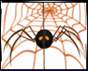 {R} Spider Animated
