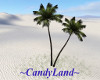 ~CL~ANIMATED PALM TREES