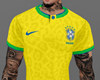 BRAZIL 2022 CUP