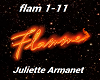 Flamme J. Armanet +D