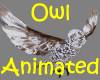 ! Snow Owl