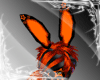 Orange Bunny Tail