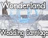 Wonderland Wed Carriage