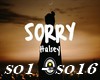 Halsey - Sorry (remix)