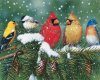 Birds of Christmas LG