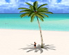 Animat Coconut Palm Tree