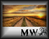 MW Country Road Picture