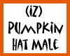 (IZ) Pumpkin Hat Male