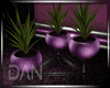 [LD]Delux Plant 2