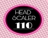 110 head scaler