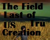 The Field -Last of Us
