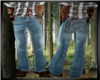 (J) Lite West Jeans
