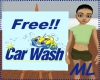 Car Wash Sign