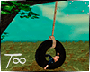 T∞ Wheel Swing