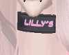 {X} Lilly's Collar {X}