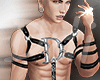 Harness Dominant