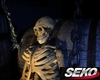 !S! Picture Skull 1