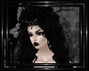 !T! Gothic | BlackLace B