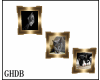 GHDB  Grey/Black  Cats