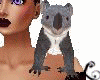 xo*Special Baby Koala