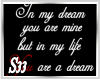 S33 Lifes Dream Sticker