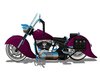 Purp Fringe Bike