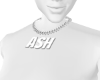 ash necklace