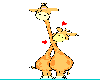 Giraffes In Love