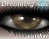 n: dreaming khaki brown