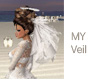 Tease's Wedding Veil MY