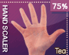 !T Hand Scale 75%